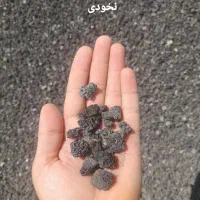 پوکه معدنی|مصالح و تجهیزات ساختمان|قم, جمکران|دیوار