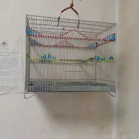 قفس مهره ای