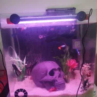 اکواریوم شیشه خم شرکتی