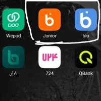 بلو بانک وبلو جونیور