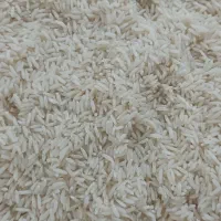 برنج هاشمی سورتین شده کیلویی 300