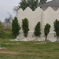 شاتکریت.مقاوم سازی.سیمانکاری با دستگاه .دیوارتریدی|خدمات پیشه و مهارت|رشت, لاکانی|دیوار