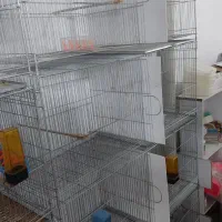 قفس هشت خان بازاری و پژاوند|لوازم جانبی حیوانات|کرج, شهرک بنفشه|دیوار