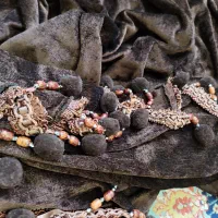 پرده|پرده، رانر، رومیزی|قرچک, زیبا شهر|دیوار