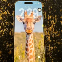 Iphone 15pro|موبایل|شیراز, معالی‌آباد|دیوار