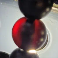 تسبیح اونیکس قاجاری|کلکسیون اشیاء عتیقه|کوهدشت, |دیوار