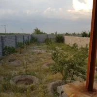 فروش باغ ۵۰۰متری|فروش زمین و ملک کلنگی|ایلخچی, |دیوار