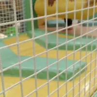 تمیز کاانه حیاط وباغچه نصب خانه بازی تاتامی صاف پل|خدمات پیشه و مهارت|رفسنجان, |دیوار