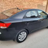 کیا سراتودنده عتیقه لاکاغذی.زرند