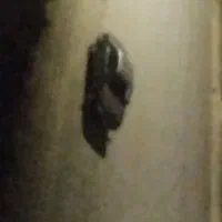 روا