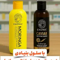 شامپو بیو ممتیک وجوانه گندم
