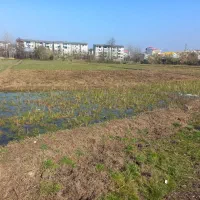فروش زمین ۳۰۰ متری در خود شهر رشت|فروش زمین و ملک کلنگی|رشت, آب آسیاب|دیوار