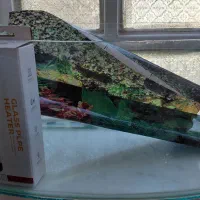 اکواریوم به همراه بخاری