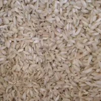 بزنج چمپه