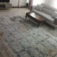 دو عدد فرش دوازده متری