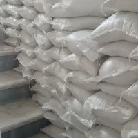 برنج فجر طارم محلی گیلان