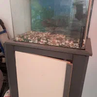 آکواریوم شیشه خم با تمام وسایل مورد نیاز و پایه