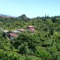 ویلای جنگلی 420متری در بام کشپل جوربند|فروش خانه و ویلا|نور, |دیوار