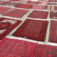 قالی شویی و مبل شویی ممتاز شاهسون