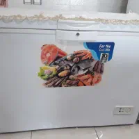 یخچال صندوقی life