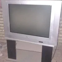 تلویزیون