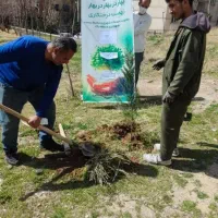 باغ بانی و تامین نگهداری|خدمات باغبانی و درختکاری|تهران, سبلان (لشگر)|دیوار