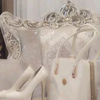 لباس عقدهمراه باکیف وکفش ست