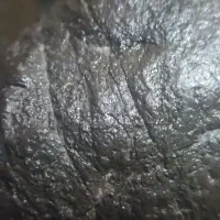 شهابسنگ و مشکوک به شهابسنگ|کلکسیون و سرگرمی|مشهد, چهارچشمه|دیوار