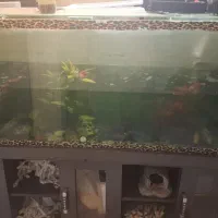 شیشه آکواریوم