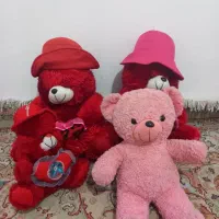 خرسهای پشمی