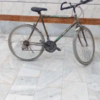 دوچرخه وویترین