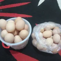 فروش تخم مرغ محلی