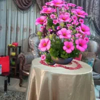 پرده  کتان والان  مخمل
