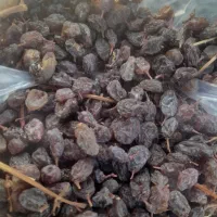 فروش کشمش و فخری دسته چین اینا وانگور دوشاب|خوردنی و آشامیدنی|ملکان, |دیوار