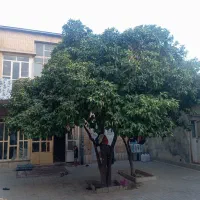 اتاق رهن اجاره|اجارهٔ خانه و ویلا|شیراز, لب آب|دیوار