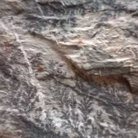 فروش سنگ شجر دریای ۸کیلوی|جواهرات|دهگلان, |دیوار