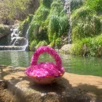 کاشان گردی|تور و چارتر|کاشان, پامنار|دیوار
