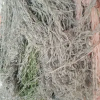 الیاف  رنگی|رختخواب، بالش، پتو|گتوند, |دیوار