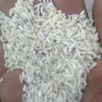 برنج اقتصادی عنبربو