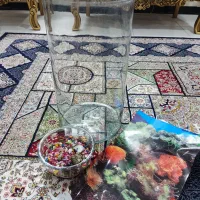 اکواریوم ماهی