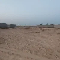 یک قطعه زمین ۵۰۰ متری امیرآباد