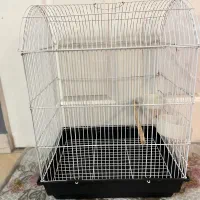 قفس پرنده|لوازم جانبی حیوانات|بندر انزلی, معلم|دیوار