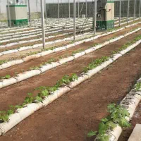 زمین-و-گلخانه-نیمه-کاره-10000متری