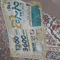 دو تخته فرش|فرش|نیشابور, شهرک رسولی|دیوار