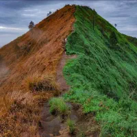 کمک در کارهای خانه به بانوان