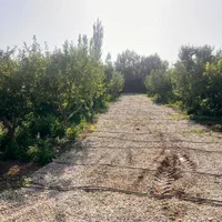 دماوند جابان۲۴۵مترزمین ۴دیواری انشعابات+سند+چکی|فروش زمین و ملک کلنگی|دماوند, دماوند|دیوار
