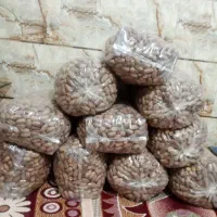 خرما سفید|عمده‌فروشی|بم, |دیوار