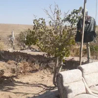 باغ در حسین آباد صبوری|فروش خانه و ویلا|ششتمد, |دیوار