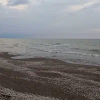 اجاره روزانه واحد دریا