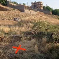 ۲۸۰ متر زمین شرف آباد انتهای آزادگان،ساحلی ۱۱|فروش زمین و ملک کلنگی|یاسوج, |دیوار